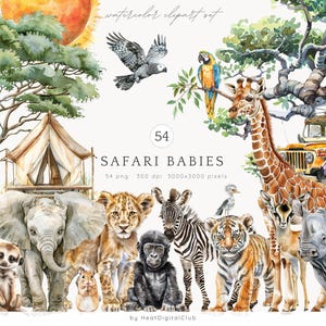 Paquete de imágenes prediseñadas de bebés de safari en acuarela, imágenes prediseñadas de animales de safari, animales bebés de safari, safari lindo, animal de la jungla, safari PNG, arte infantil