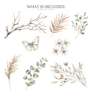 May include: A set of 16 watercolour illustrations featuring various botanical elements, including branches, leaves, flowers, and a butterfly. The illustrations are in shades of brown, green, and white, and are perfect for adding a touch of nature to your designs.