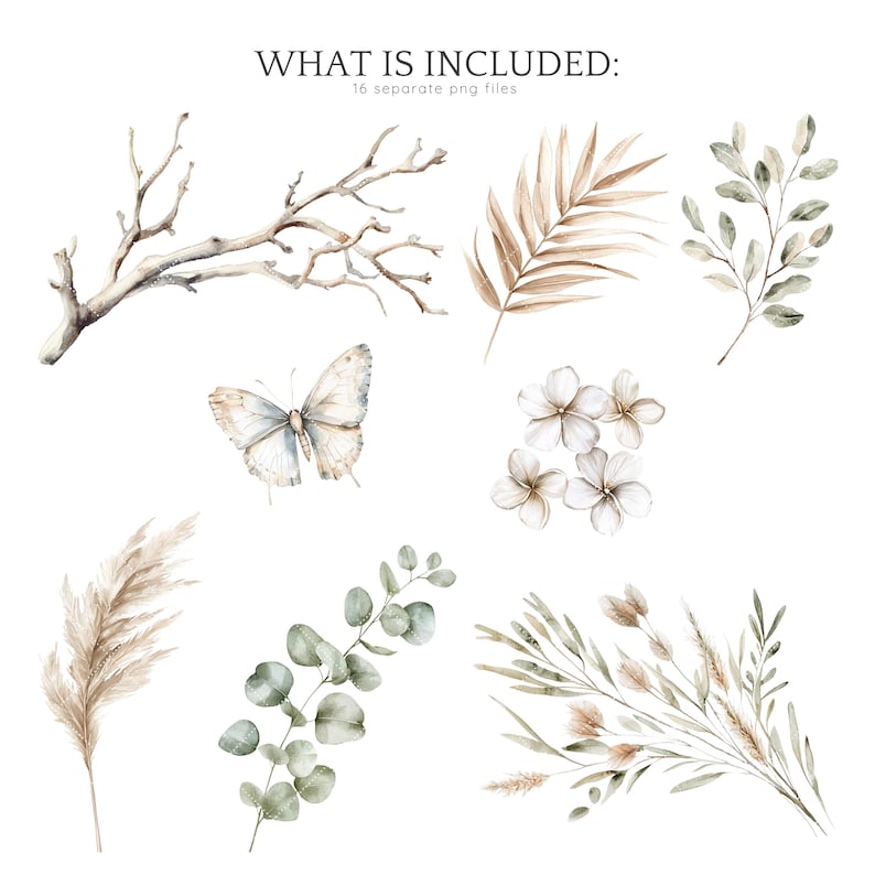 May include: A set of 16 watercolour illustrations featuring various botanical elements, including branches, leaves, flowers, and a butterfly. The illustrations are in shades of brown, green, and white, and are perfect for adding a touch of nature to your designs.