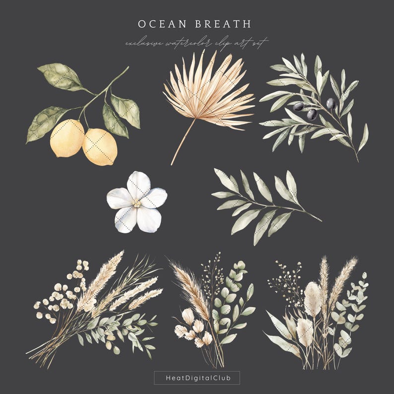 May include: A set of watercolour illustrations featuring various botanical elements, including lemons, palm leaves, olive branches, white flowers, and dried grasses. The illustrations are in a muted colour palette of beige, brown, and green.