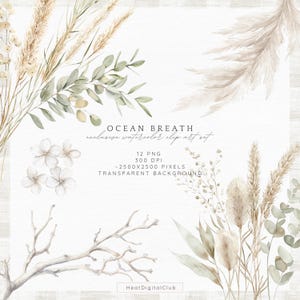 May include: A set of 12 watercolor clip art images featuring various botanical elements in shades of beige, white, and green. The images include pampas grass, eucalyptus leaves, branches, and small white flowers. The text "OCEAN BREATH" and "exclusive watercolor clip art set" is included in the image. The text "12 PNG, 300 DPI, -2500x2500 PIXELS, TRANSPARENT BACKGROUND" is also included in the image. The text "HeatDigitalClub" is included in the image.