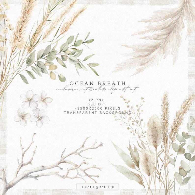 May include: A set of 12 watercolor clip art images featuring various botanical elements in shades of beige, white, and green. The images include pampas grass, eucalyptus leaves, branches, and small white flowers. The text "OCEAN BREATH" and "exclusive watercolor clip art set" is included in the image. The text "12 PNG, 300 DPI, -2500x2500 PIXELS, TRANSPARENT BACKGROUND" is also included in the image. The text "HeatDigitalClub" is included in the image.