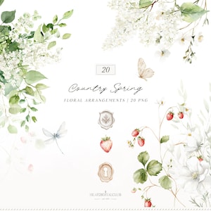 Puede incluir: Arreglos florales en acuarela con flores blancas, hojas verdes y fresas rojas. La imagen incluye una mariposa, una libélula y el texto "Country Spring Floral Arrangements / 20 PNG".
