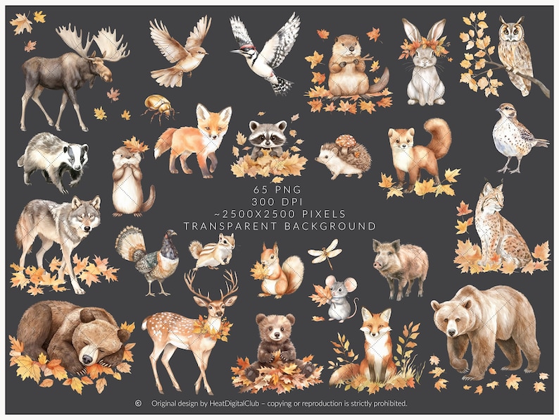 Watercolor Fall Woodland Animals Clipart, Autumn Forest Animals PNG ...