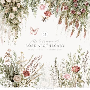 Arranjos florais de boticário com rosas em aquarela, buquês florais de rosas empoeiradas e ervas, flores secas botânicas, vegetação, estilo campestre, digital