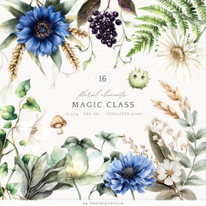 Arreglos florales de acuarela, imágenes prediseñadas, hierbas mágicas botánicas, flores de fantasía, plantas, hongos, vegetación, descarga digital