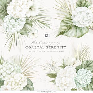 Clipart d'arrangements floraux aquarelle sérénité côtière, botanique PNG Clip Art, été neutre, hortensia, téléchargement numérique