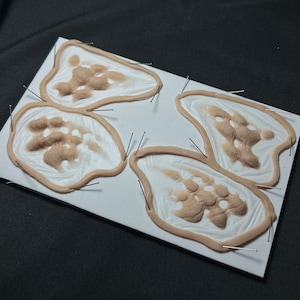 May include: Four prosthetic wound appliances in various shapes and sizes, arranged on a white surface. Each appliance features a flesh-toned, textured design, surrounded by a light brown border. Pins secure the prosthetics to the surface.