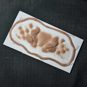 May include: A prosthetic wound appliance featuring a detailed, realistic paw print design in shades of brown and tan. The appliance is mounted on a white backing and secured with pins, ready for application. The overall shape is irregular.