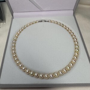 Akoya natuurlijke Golden Queen-parelketting 8,5-9 mm, sterke glans met PSL-certificaat 150191