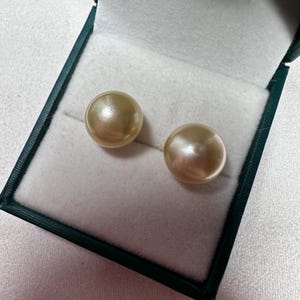 South Sea Medium gold pearl button shape stud earrings in 18K solid gold posts