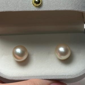 11mm South Sea champagne light gold pearl stud earrings in 18K gold posts