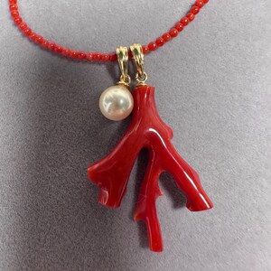 Op de afbeelding: Een rode koraal hanger ketting met een parel en gouden accenten. De ketting heeft een koraal tak hanger en een streng kleine rode kralen. De parel is rond en wit. Gouden accenten verbinden de hanger met de ketting.