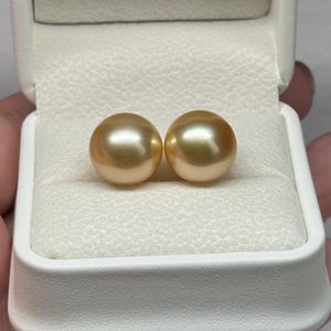13mm South Sea Gold Pearl stud earrings High quality pearl set in 18K yellow gold posts