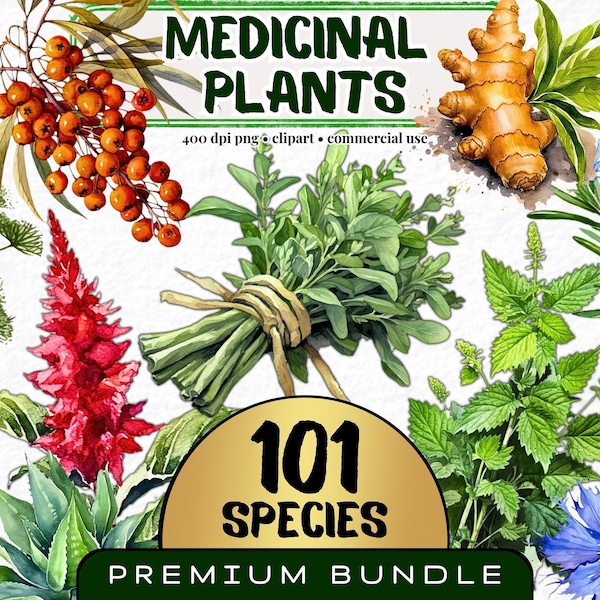 Medicinal Plants Clipart, Set of 101, Watercolor Herb Clip Art, Watercolor Plant png, Natural Remedies png, Healing Herb bundle, Digital Art