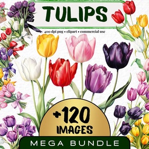 Bunte Tulpe Clipart, Set von 120, Aquarell Tulpe Png, Botanische Kunst, Blume Png, Floral Clip Art Bundle, Einladung Digital Art Download