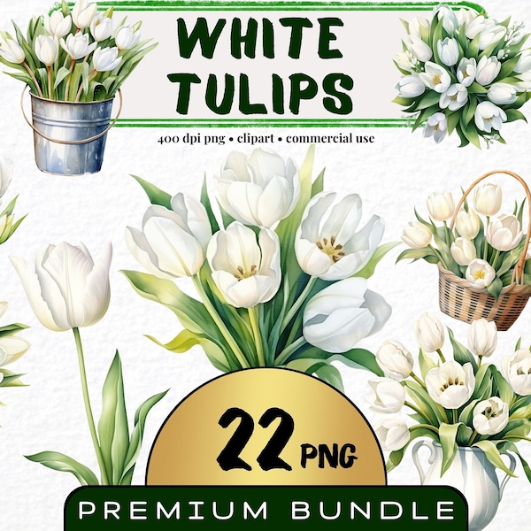 Clipart tulipe blanche, lot de 22, tulipe aquarelle Png, art botanique, fleur png, lot de clipart floral, faire-part de mariage téléchargement numérique