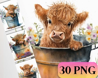 Watercolor Highland Cow Clipart: Cute Cow in Bucket, Farm Animal PNG (Digital)