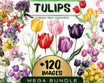 Watercolor Tulip Clipart Set, Floral PNG Bundle (120 Files)