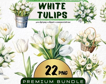Clipart tulipe blanche, lot de 22, tulipe aquarelle Png, art botanique, fleur png, lot de clipart floral, faire-part de mariage téléchargement numérique