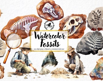 Watercolor Fossils Clip Art Archeology - Paleontology Dinosaur Prehistoric Clipart Transparent PNG Archeologist Birthday Instant Download