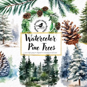 18 Clipart di alberi di pino ad acquerello, png di foresta, png di albero di pino, albero di Natale, pigna, pacchetto di clipart di alberi del bosco, download immediato
