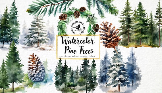 Watercolor Pine Tree Clipart, Forest Bundle (Digital Download)