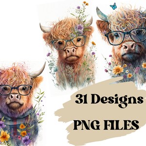 K&ouml;nnte beinhalten: Drei digitale Illustrationen von Highland-K&uuml;hen mit Brille und umgeben von Aquarellblumen. Der Text "31 Designs PNG FILES" befindet sich in der rechten unteren Ecke.