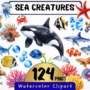 Clipart créatures marines aquarelle 124 png, école à la maison espèces de poissons de mer, graphiques de baleines, art de requin, utilisation commerciale de dauphins, téléchargement immédiat