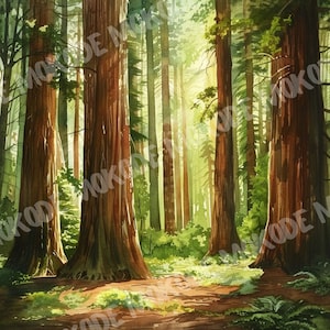 10 High Quality Watercolor Redwood Trees Designs Png,California Redwood Illustration, Journaling, Wall Art, Digital Download, Commercial Use