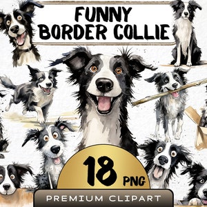 Funny Border Collie Clipart 18 Png, Cute Caricature Pet, Puppies Watercolor, Funny Dog, Cartoon Animal, Digital Prints, Sticker Scrapbooking