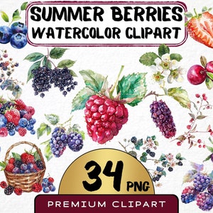 Aquarell Beeren Clipart 34 Png, Sommerobst-Kollektion, Beeren-Mix-Grafiken, Erdbeere, Himbeere, sofortiger digitaler Download, Kartenherstellung