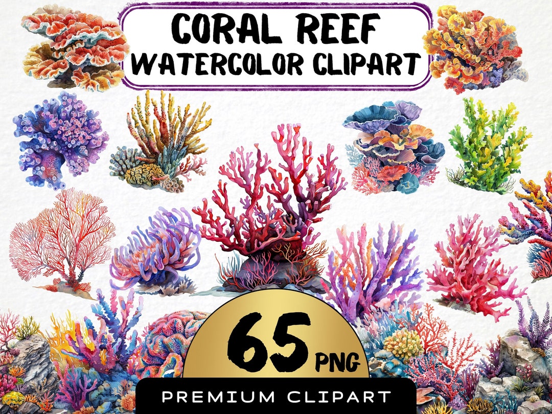 Watercolor Coral Reef Clipart 65 Png Tropical Ocean Summer Png Il 1080xN.5921070154 N67t