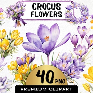 Peut inclure: Illustrations à l'aquarelle de fleurs de crocus. L'image présente des crocus violets, jaunes et blancs, certains en bouquets et couronnes. Le texte comprend "Crocus Flowers", "40 PNG" et "Premium Clipart".