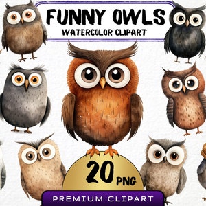 Aquarell lustige Eulen Clipart, 20 Png, Kinderzimmer Tier Porträt, süße Eule Scrapbooking, Winter Vögel Clipart, Scrapbooking, Kartenherstellung