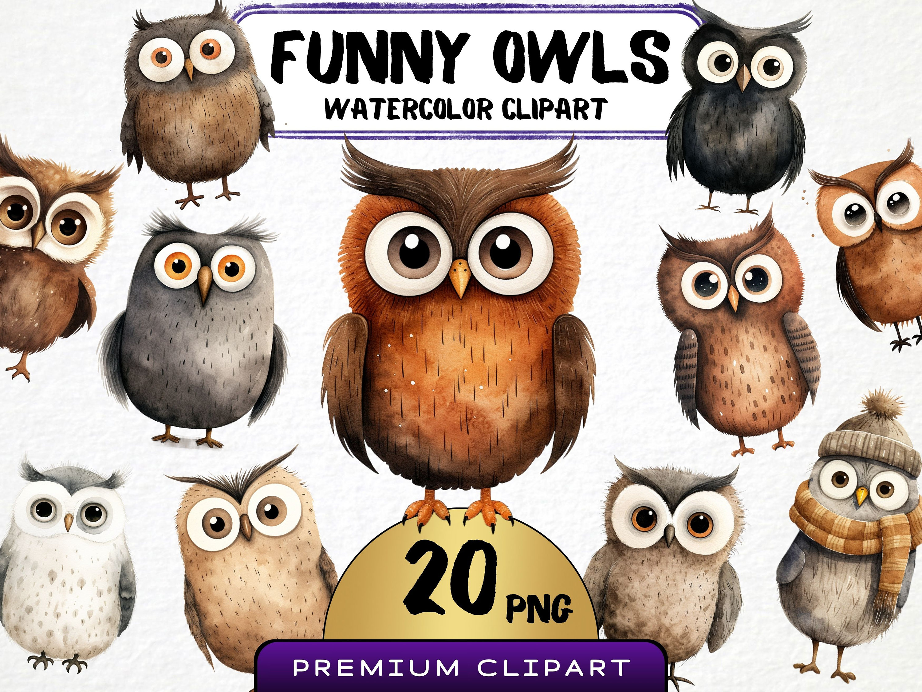 Watercolor Funny Owls Clipart, 20 Png, Nursery Animal Portrait, Cute Owl Scrapbooking, Winter Birds 