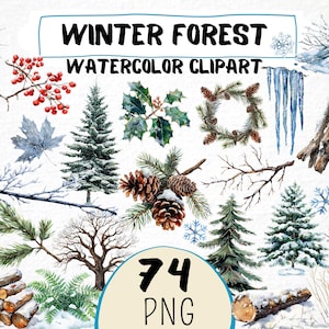 Bosque invernal en acuarela (74 imágenes PNG), ramas y troncos escarchados, piña nevada, agujas de pino, hojas heladas, naturaleza fría, descargar