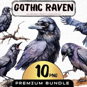 Aquarel kraai vogel clipart, set van 10, Halloween raaf graphics, gotische zwarte gevederde kraai png, kaarten maken, gotische decoratie vogel png