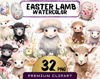 Watercolor Easter Lamb Clipart, Baby Sheep Graphics (32 PNG) (Digital Download)