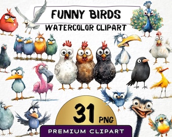Funny Bird Watercolor Clipart, Caricature PNG (Digital Print)
