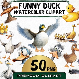 Funny Duck Clipart 50 Png, Cute Caricature Birds, Quirky Ducklings Watercolor, Cartoon Duck Toy, Baby Chick Png, Digital Print Scrapbooking