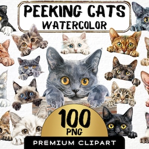 Bundle de cliparts de race de chat furtif, lot de 100, png de chat aquarelle, Portrait de chat, illustration de visage de chat mignon, png transparent, art numérique