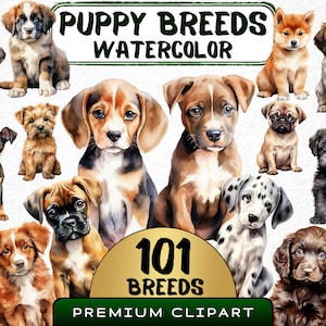 Puppyras clipartbundel 101 png, aquarel babyhondje, populaire huisdier illustratie, zittende pups, instant download, transparante digitale kunst