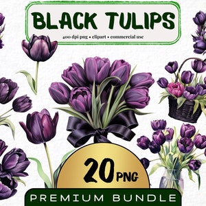 Black Tulip Clipart, Set of 20, Watercolor Queen of the night Tulip png, Gothic Flower Clip Art Bundle, Invitation card, Digital Download