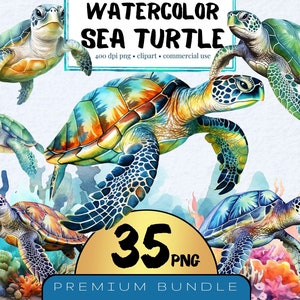 Imágenes prediseñadas de tortuga marina en acuarela, conjunto de 35, imágenes prediseñadas de animales marinos náuticos en acuarela PNG, imágenes prediseñadas de vida marina, descarga instantánea, impresiones digitales