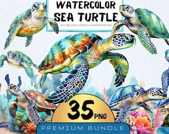 Aquarel zeeschildpad clipart, nautische oceaandieren (PNG, set van 35)