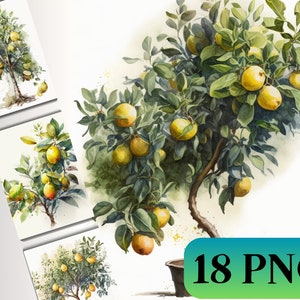Clipart citronnier 18 Illustrations de haute qualité PNGs numériques agendas indésirables journalisation Art mural aquarelle utilisation commerciale téléchargement numérique