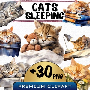 Slapende katten illustraties 31 png, kittens slapen aquarel, vermoeide kat illustratie, kat die een dutje doet afbeelding, schattige kat clipart, kitty crafting