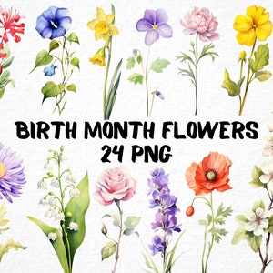 Clipart fleur mois de naissance 24 Png, art floral aquarelle d'anniversaire, fleurs de saison, téléchargement, art numérique, fabrication de cartes, usage commercial gratuit