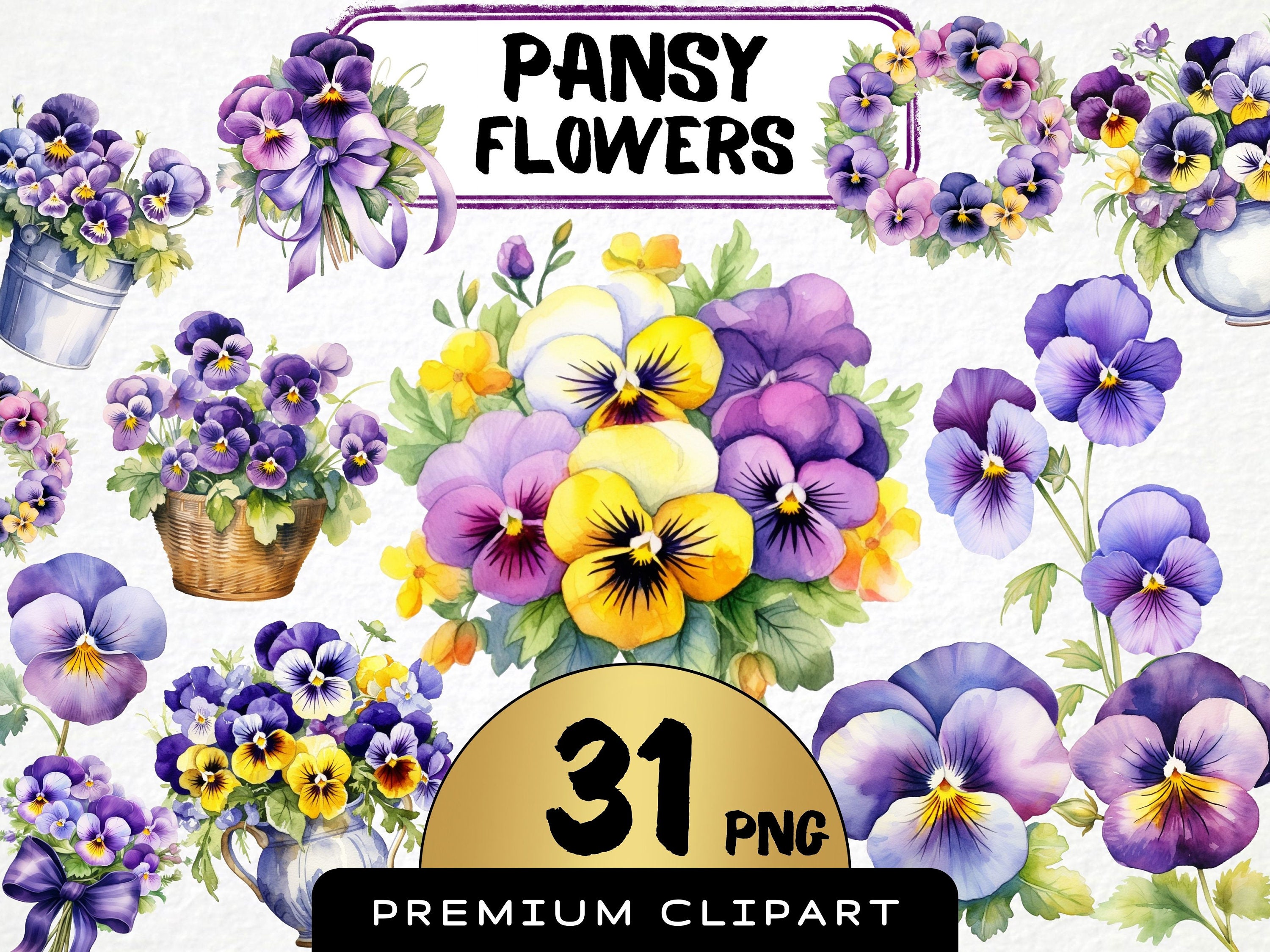 Pansy Graphic - Etsy
